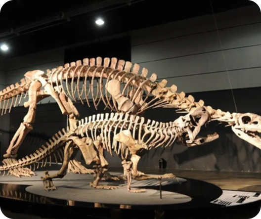 Dinosaurios de Ischigualasto