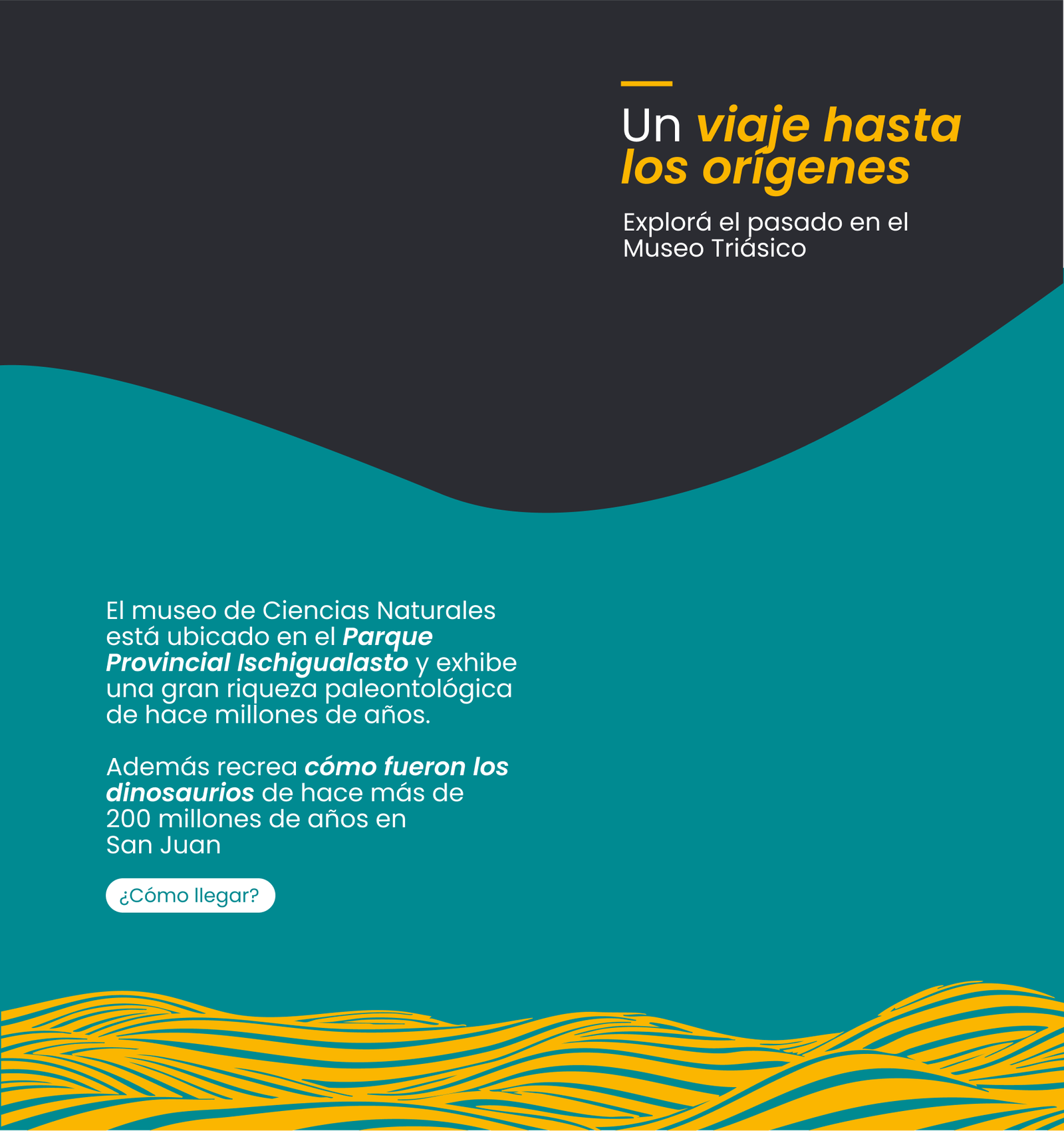 Un viaje hasta los orígenes