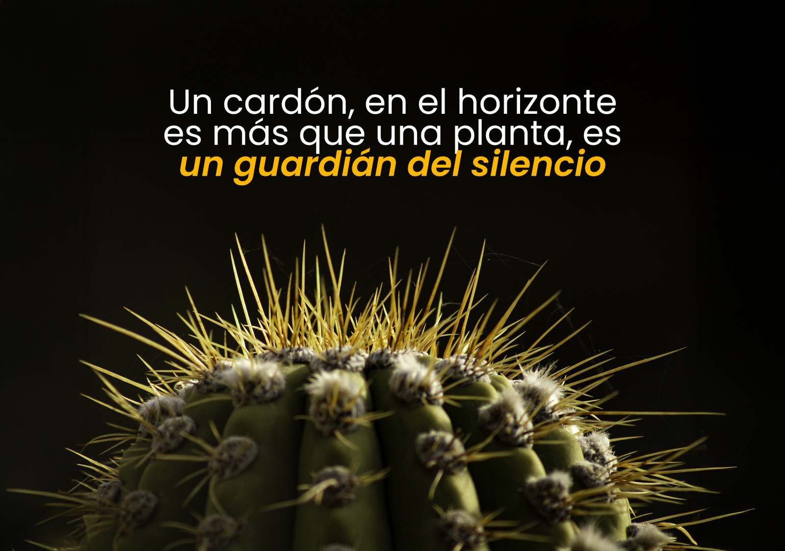 Cielo nocturno en Valle Fértil